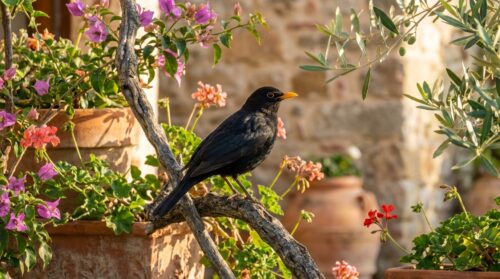 scopri il significato e il simbolismo della presenza di un merlo nel tuo giardino e cosa può rappresentare nella cultura italiana e nel folklore.