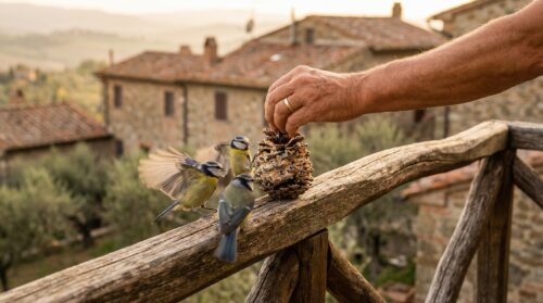 Da quando faccio questo, le cince tornano ogni giorno, proprio alla stessa ora